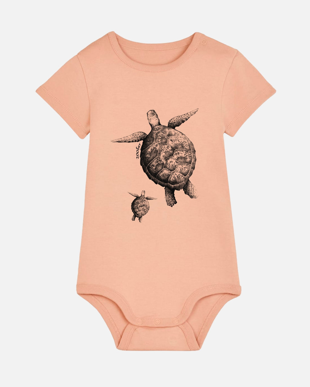 Body pêche - Famille tortue