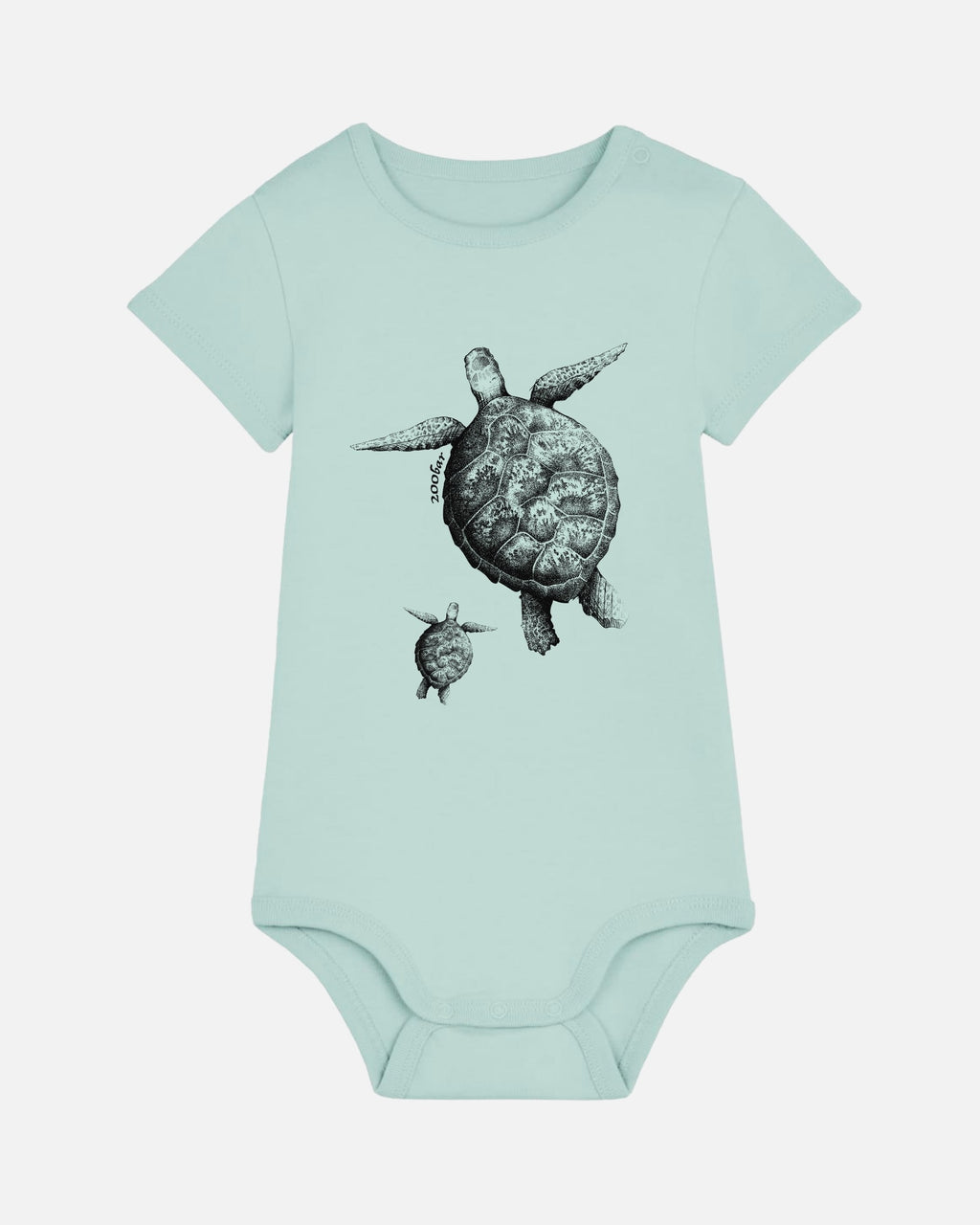 Body vert - Tortue