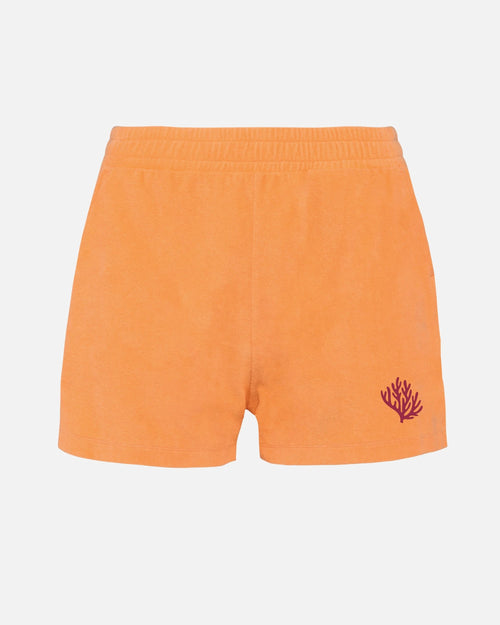 Ensemble éponge Orange